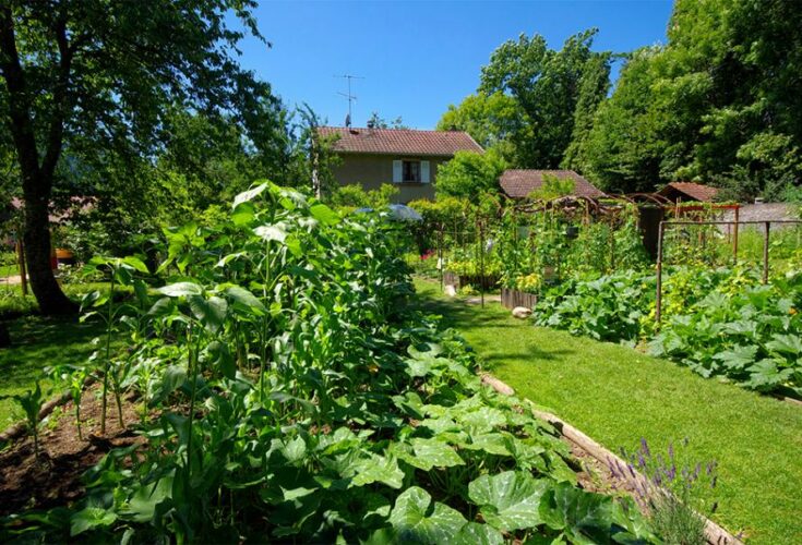 Comment réaliser un petit jardin en permaculture ?